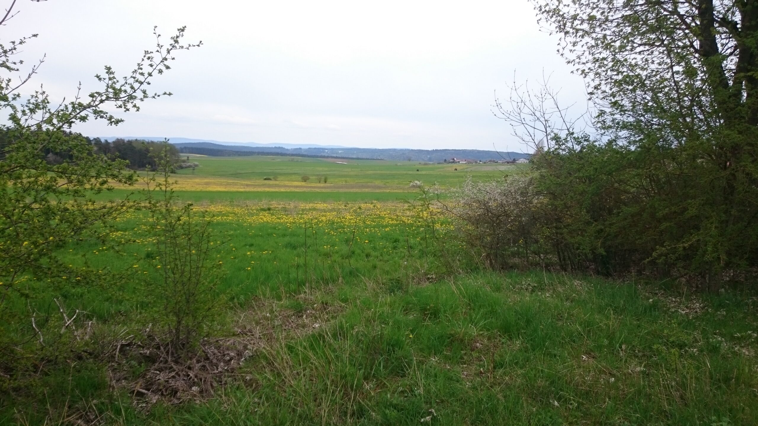 Sonntag, 29.06.25 | 9.00 | Höhenwanderung zwischen Streu und Felda