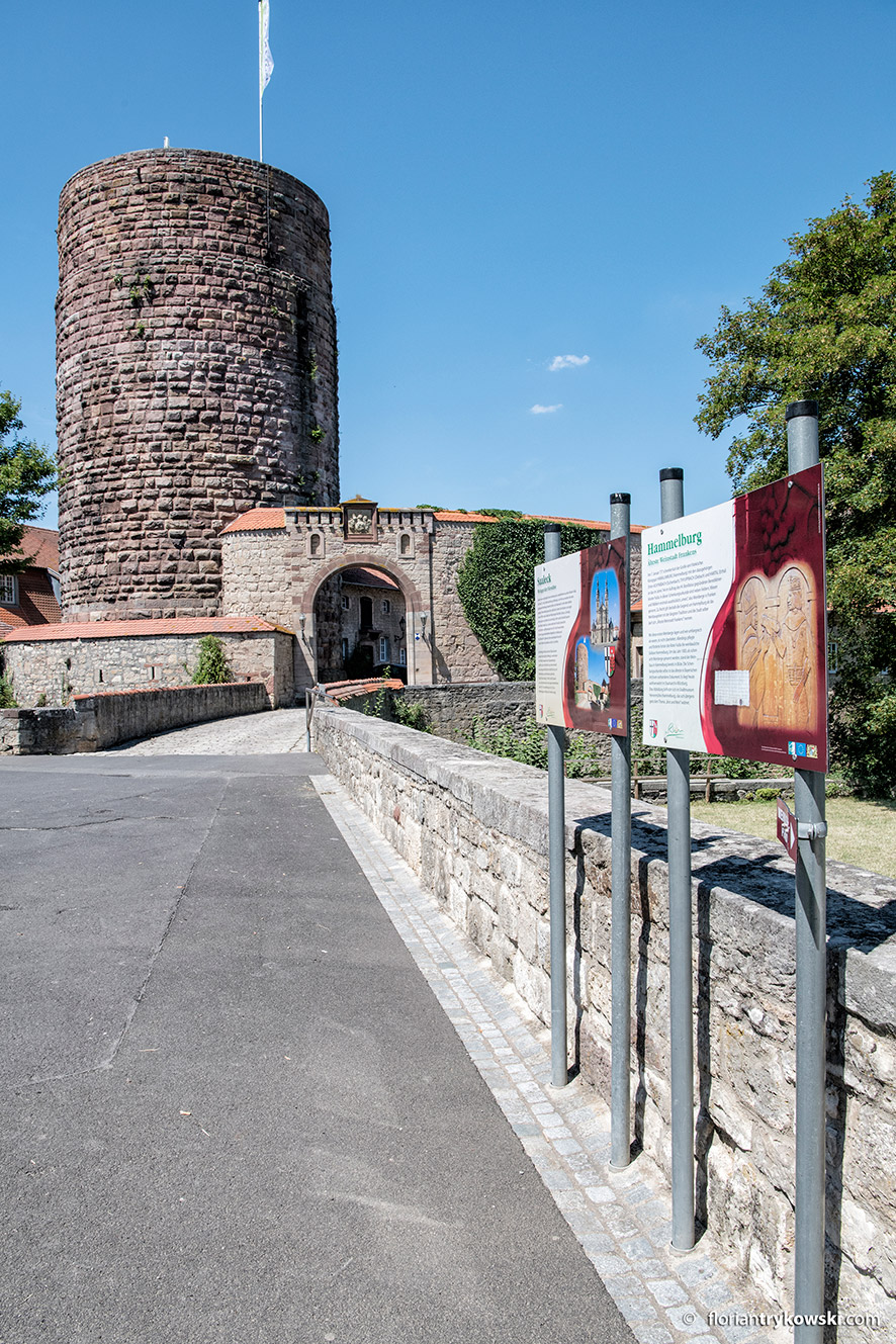 Sonntag, 29. September 2024 um 9:00 Uhr: Wanderung auf dem Weinlehrpfad Hammelburg